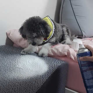 바니님이 올린 리뷰 사진 3