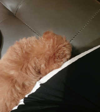 이혜진님이 올린 리뷰 사진 3