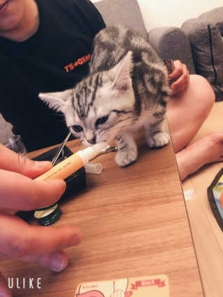 해치느님님이 올린 리뷰 사진 3