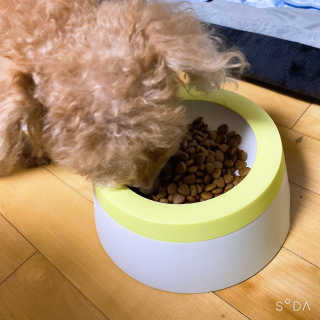 라니나리님이 올린 리뷰 사진 4