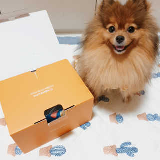 은선이짱님이 올린 리뷰 사진 2