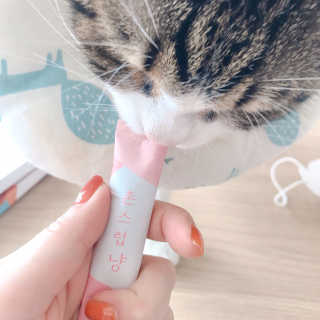 Hpy님이 올린 리뷰 사진 3