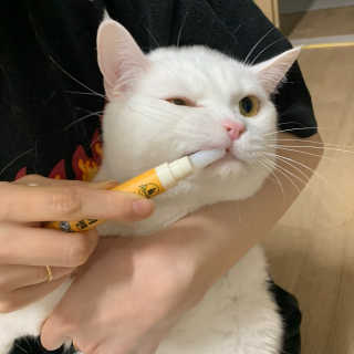유짱님이 올린 리뷰 사진 4