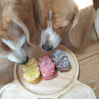 beaglelove님이 올린 리뷰 사진 3