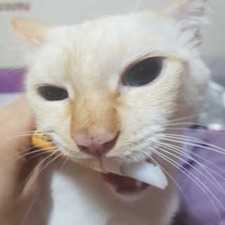 유자씨🍀님이 올린 리뷰 사진 3