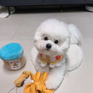 아시안님이 올린 리뷰 사진 1