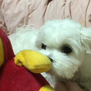 하비님이 올린 리뷰 사진 1