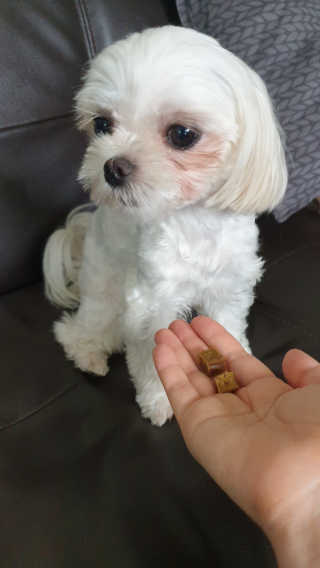 leelee님이 올린 리뷰 사진 2