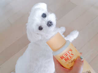 beanmom님이 올린 리뷰 사진 3
