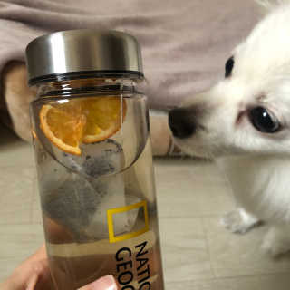 으내으내조님이 올린 리뷰 사진 4