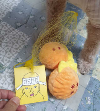 🐕삐딱이💖💖💖님이 올린 리뷰 사진 1