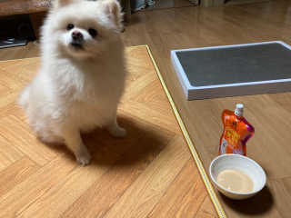 성님이 올린 리뷰 사진 2