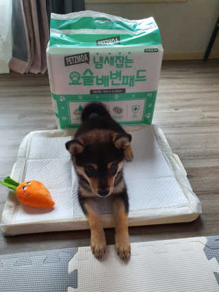 08리터 갑질,비공정성,고객응대 최악님이 올린 리뷰 사진 2