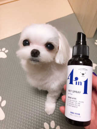 뚜덩맘님이 올린 리뷰 사진 1