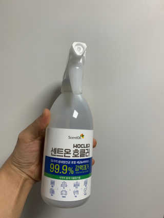 알콩구름님이 올린 리뷰 사진 1