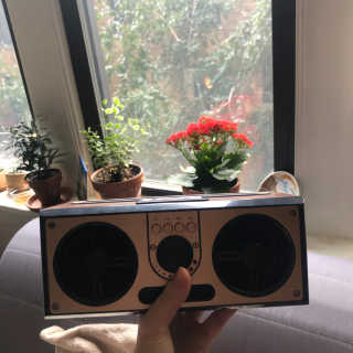 SEVIZ RETRO20W 레트로 블루투스 스피커 — 5점을 준 리뷰어가 2020년 7월 올린 사용 사진