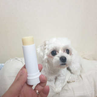 상큼달큼님이 올린 리뷰 사진 3