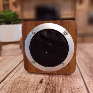 SEVIZ MINI10W 레트로 블루투스 스피커 — 5점을 준 리뷰어가 2020년 8월 올린 사용 사진