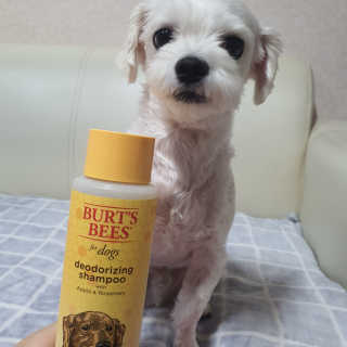 뱅님이 올린 리뷰 사진 1