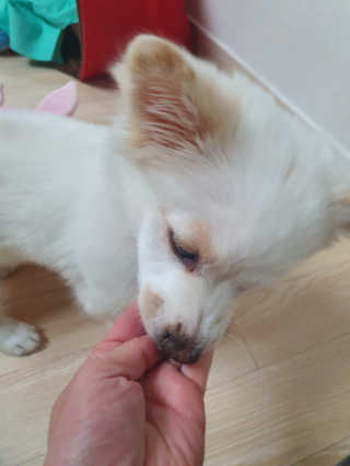 킹유쥬님이 올린 리뷰 사진 3