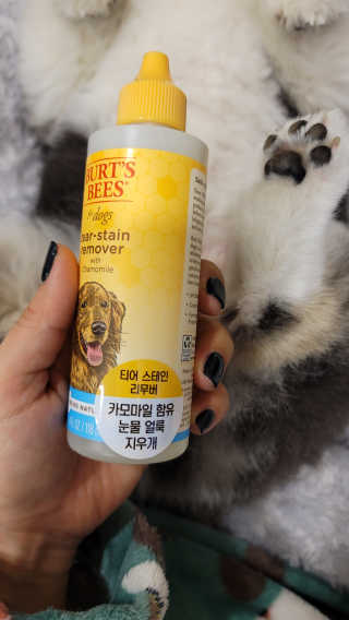 몽실맘님이 올린 리뷰 사진 2
