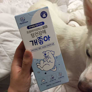 J님이 올린 리뷰 사진 2