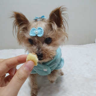 솜희님이 올린 리뷰 사진 2