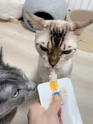 어린이님이 올린 리뷰 사진 4