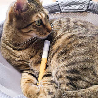 jemjug님이 올린 리뷰 사진 3