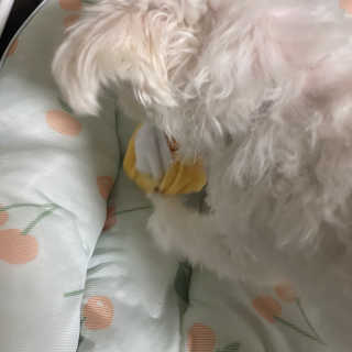 당근님이 올린 리뷰 사진 4
