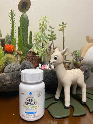 리디아은서님이 올린 리뷰 사진 1