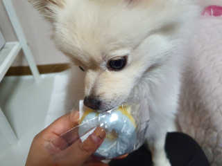 빵슬님이 올린 리뷰 사진 4