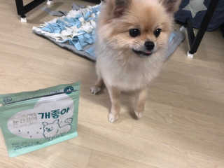 My Pet Care 천연단백질 눈건강에 개좋아 — 5점을 준 리뷰어가 2020년 12월 올린 사용 사진