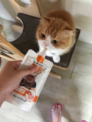 통통이네님이 올린 리뷰 사진 2