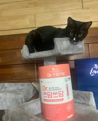 랑이님이 올린 리뷰 사진 1