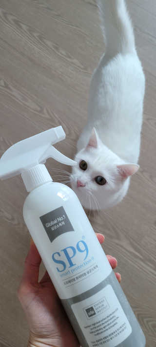 대박이님이 올린 리뷰 사진 1