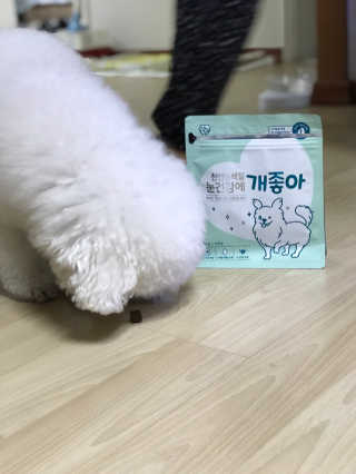 My Pet Care 천연단백질 눈건강에 개좋아 — 4점을 준 리뷰어가 2020년 11월 올린 사용 사진