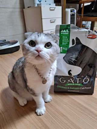 라니으니님이 올린 리뷰 사진 1