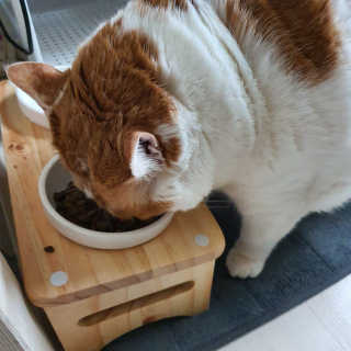쓔리님이 올린 리뷰 사진 2