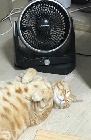 이아님이 올린 리뷰 사진 1