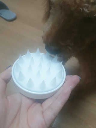 자극 없이 털/각질 관리가 가능한 코코몰리 실리콘 목욕 브러쉬 — 5점을 준 리뷰어가 2020년 7월 올린 사용 사진