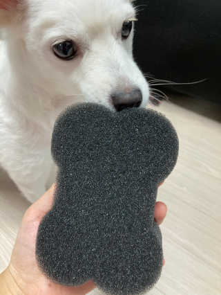 인이님이 올린 리뷰 사진 1