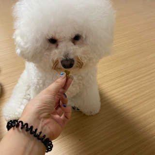 서라님이 올린 리뷰 사진 1