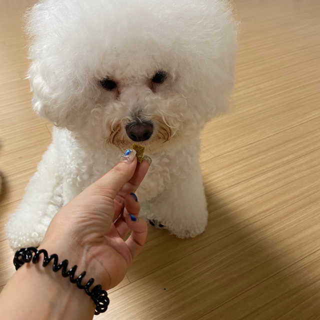 잠보아 뉴트리페어 굿바이 티어스테인 리뷰 사진