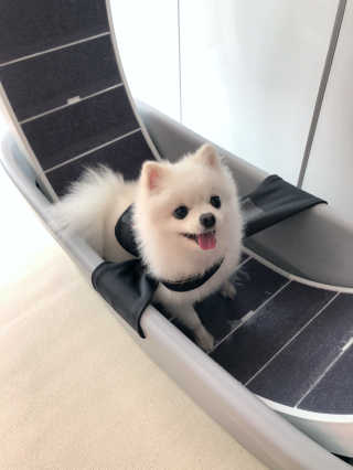 최스타님이 올린 리뷰 사진 3