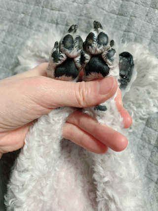 zzzbebemin님이 올린 리뷰 사진 4