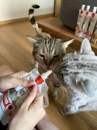 뚜디니님이 올린 리뷰 사진 3