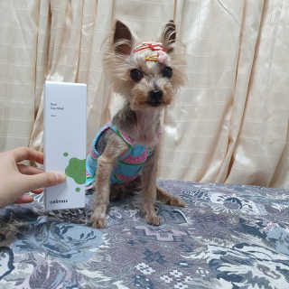 솜희님이 올린 리뷰 사진 4