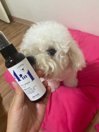 강아지스토리 포인원 모이스처 미스트 100ml — 4.5점을 준 리뷰어가 2020년 6월 올린 사용 사진