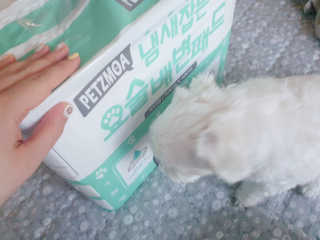 beanmom님이 올린 리뷰 사진 2